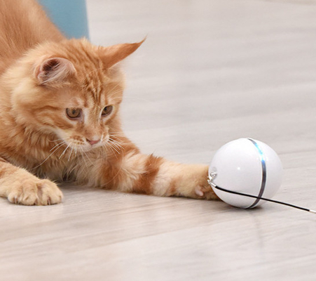 Interactive USB Charging Electronic Cat Ball Interactive Cat Toys Balls