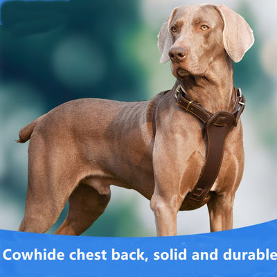 Leather Pet Harness Leash For Medium Dogs Pit Bull Boxer Mastiff
