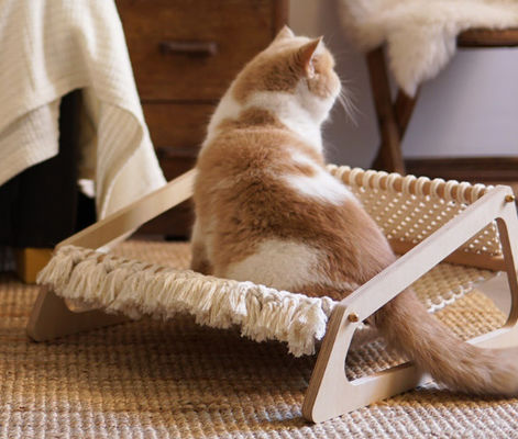 Wooden Cat Lounger Bed Chair Hammocks 2 In 1