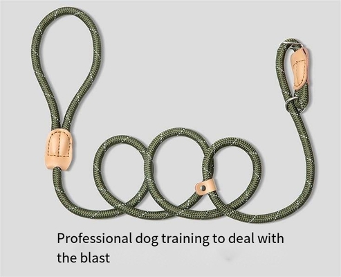 Mesh Dog Leash Training Dog P Chain Flush Adjustable Dog Leash