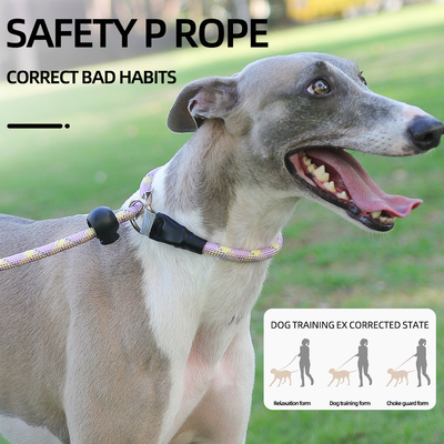 Pet Explosion-Proof P Chain Leash Dog Reflective Breathable Integrated Dog Leash