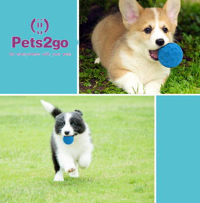 OEM food leakage Soft Rubber Ball for Small Animals