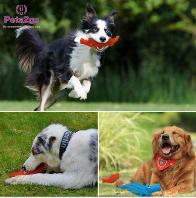 Aggressive Chewers Approved L243MM Dog Playing Toys