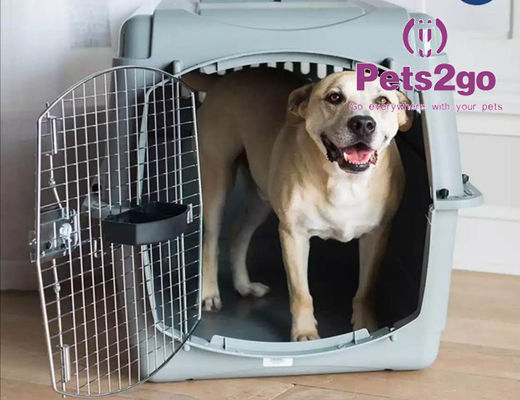 High Transparency 36X40CM 1.70KG PVC Pet Carrier Cage