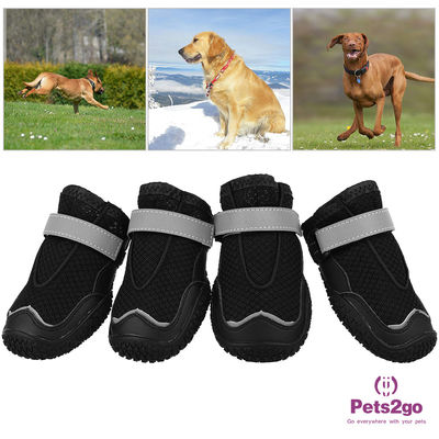 Breathable Mesh 23.5x7.2cm 500g Dog Running Shoes