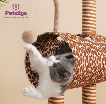 Luxury 0.9kg 42*16CM Cat Indoor Climbing Frame
