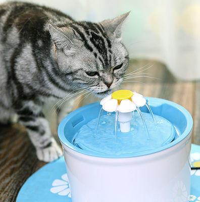 Automatic Flower M 1.6l Cat Water Bowl Fountain