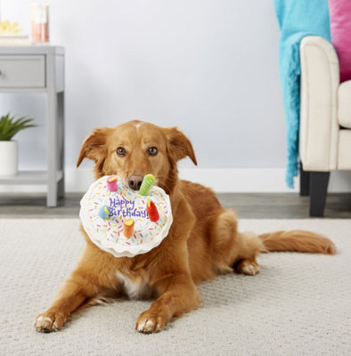 Stuffed Plush Dog Happy Birthday Cake Abs 110g Pet Squeaky Toys With Candles