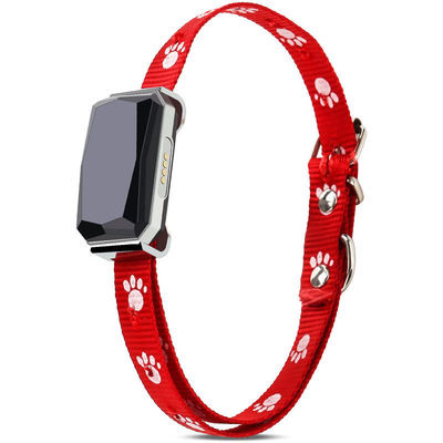Beidou Positioning Intelligent 45X45mm PET Training Collars Gps Tracking Collar For Dogs