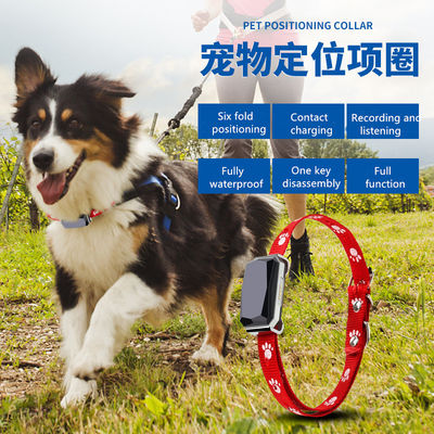 Beidou Positioning Intelligent 45X45mm PET Training Collars Gps Tracking Collar For Dogs