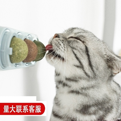 Catnip Balls 4pcs Cat Snack Lollipop Self Adhensive Wall