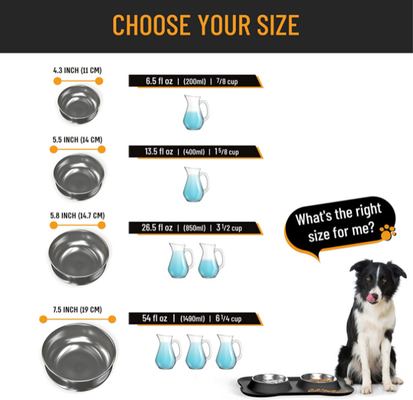 Food Water Dog Food Bowls With Skid Resistant Silicone Mat