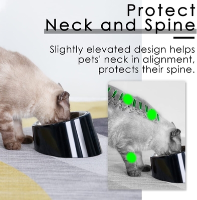 Design Mess Free 15° Slanted Bowl for Dogs and Cats