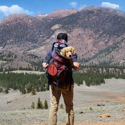 Double Collapsible Dog Bowl BPA Free Food Grade Silicone