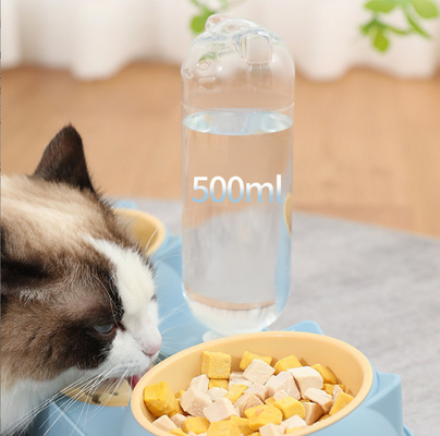 15 Degree Tilted Automatic Water Bottle Bowl Cat Double Food Bowl