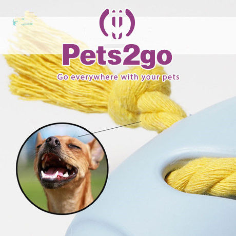 Rubber Material 128X51mm Food Leakage Pet Chew Toys