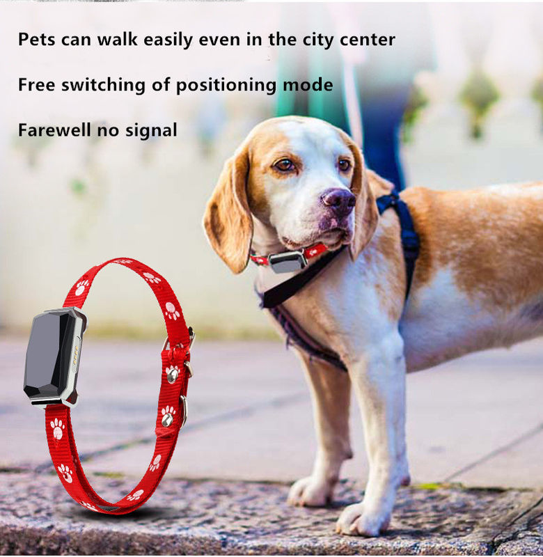 Beidou Positioning Intelligent 45X45mm PET Training Collars Gps Tracking Collar For Dogs
