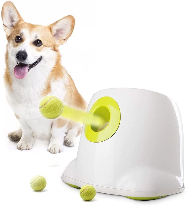 Best Electronic Interactives Automatic Dog Ball Launcher Toys